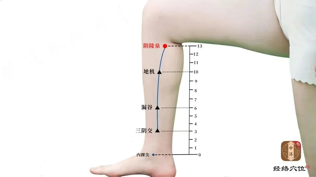 ֪Դ����Ѩλ2025�ٷ����°汾