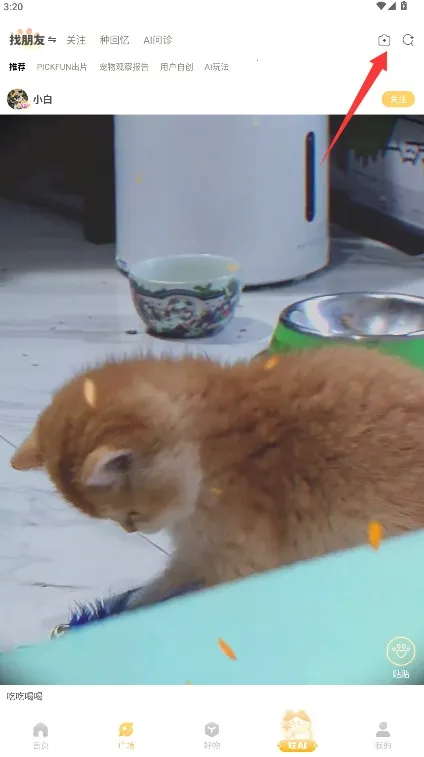 Ƥ�˷���׿���ֻ���