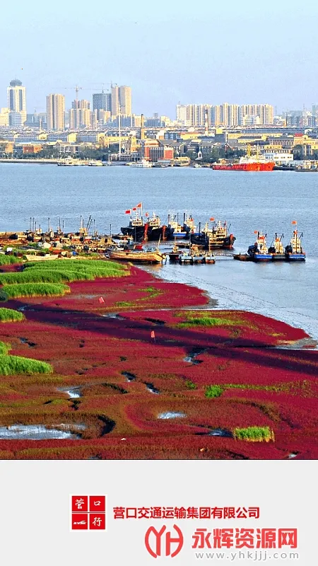 Ӫ����(��������ƽ̨)