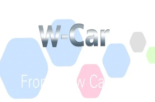 W-Car(��������ͷ����)