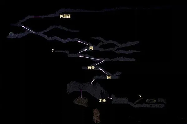 �����ȴ�2025���ذ�װ