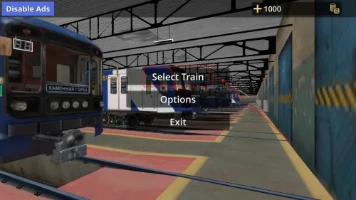 ��˹�˵���ģ����(������ʻ��Ϸ)