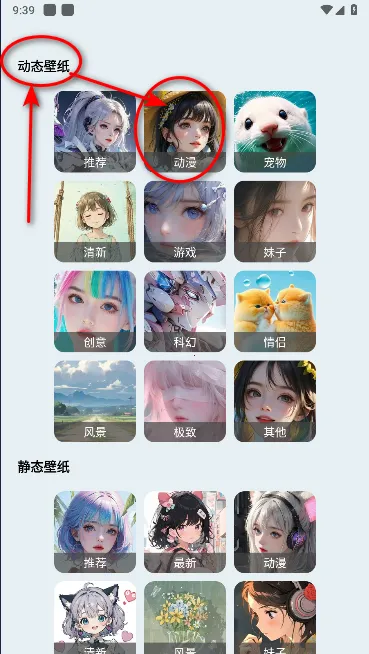 ��ֽ��(��ֽ��������)