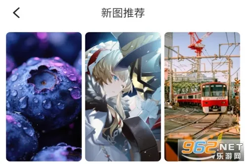 ��ֽ��(��ֽ��������)