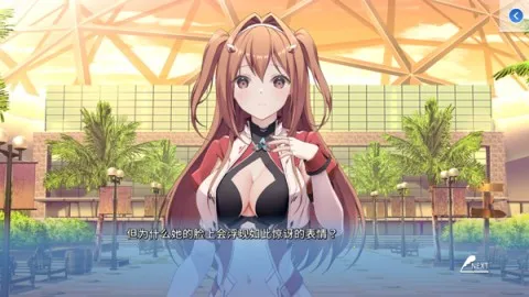 角色扮演之恋极乐公主(二次元恋爱游戏) 角色扮演之恋极乐公主(二次元恋爱游戏)