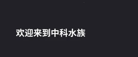 �п�ˮ�尲׿���ֻ���