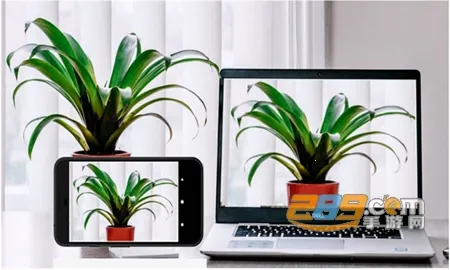 Iriun Webcam2026���ذ�װ