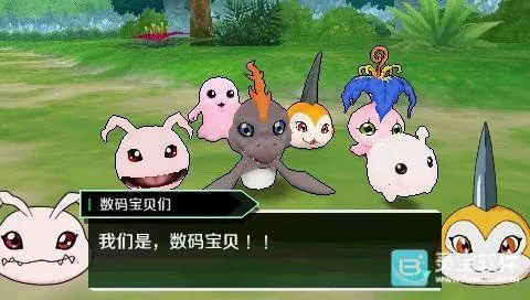 ���뱦����ð������