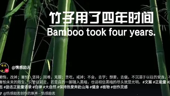 ��ɽ����2026�ٷ�����