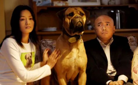 ���Ӱ��2026�ٷ�����