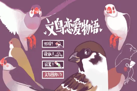 ������������2026���°汾