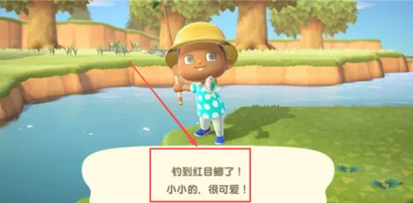 ����֮ɭ�ڴ�¶Ӫ2026�ٷ�����