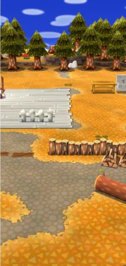 ����֮ɭ�ڴ�¶Ӫ2026�ٷ�����