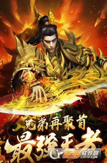 ���ǰ��������ֻ���