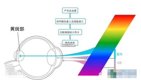 ��ɫ�Ⲩ������2026�ٷ����°汾