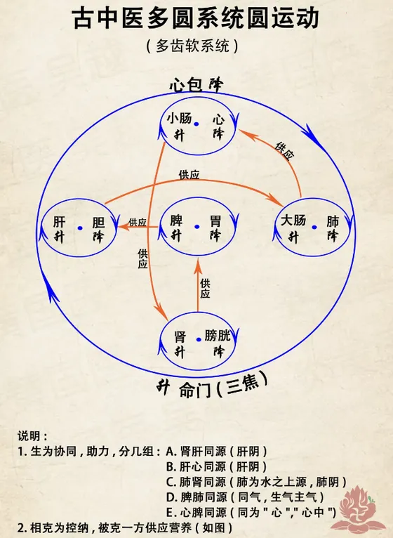 �ھ�����