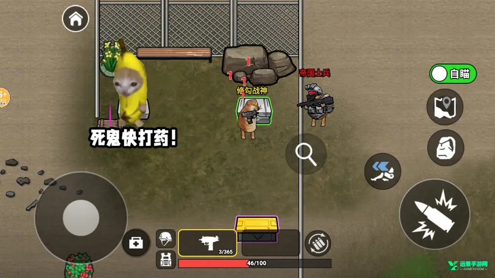 �޹�������2026�ٷ�����