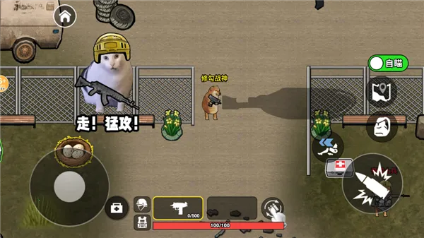 �޹�������2026�ٷ�����