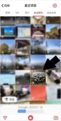 intolive��̬��ֽ����app