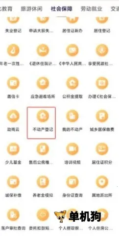 �����������app����