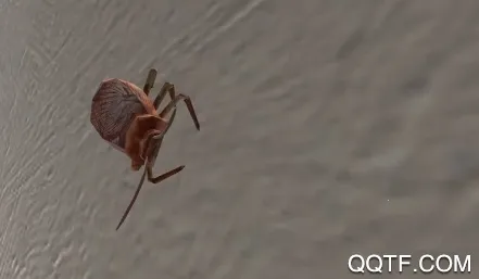 ���ģ������׿���ֻ���