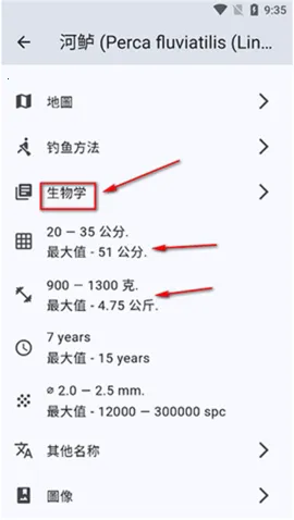 ������׿���ֻ���