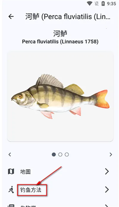 ������׿���ֻ���