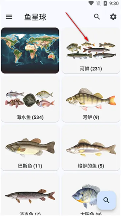 ������׿���ֻ���