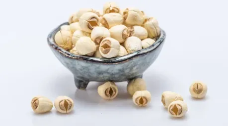 ������ý2026���°汾