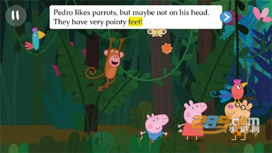 С�����滷������2026�ٷ�����