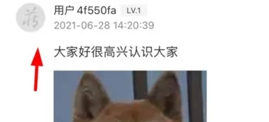 ����2026�ٷ����°汾