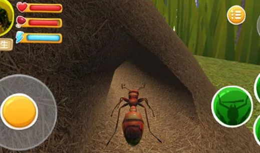 ���ϲ���2026���ذ�װ