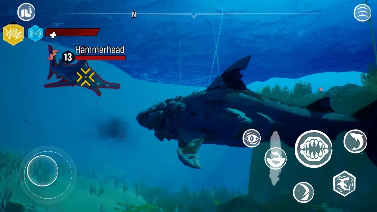 ʳ�������������������