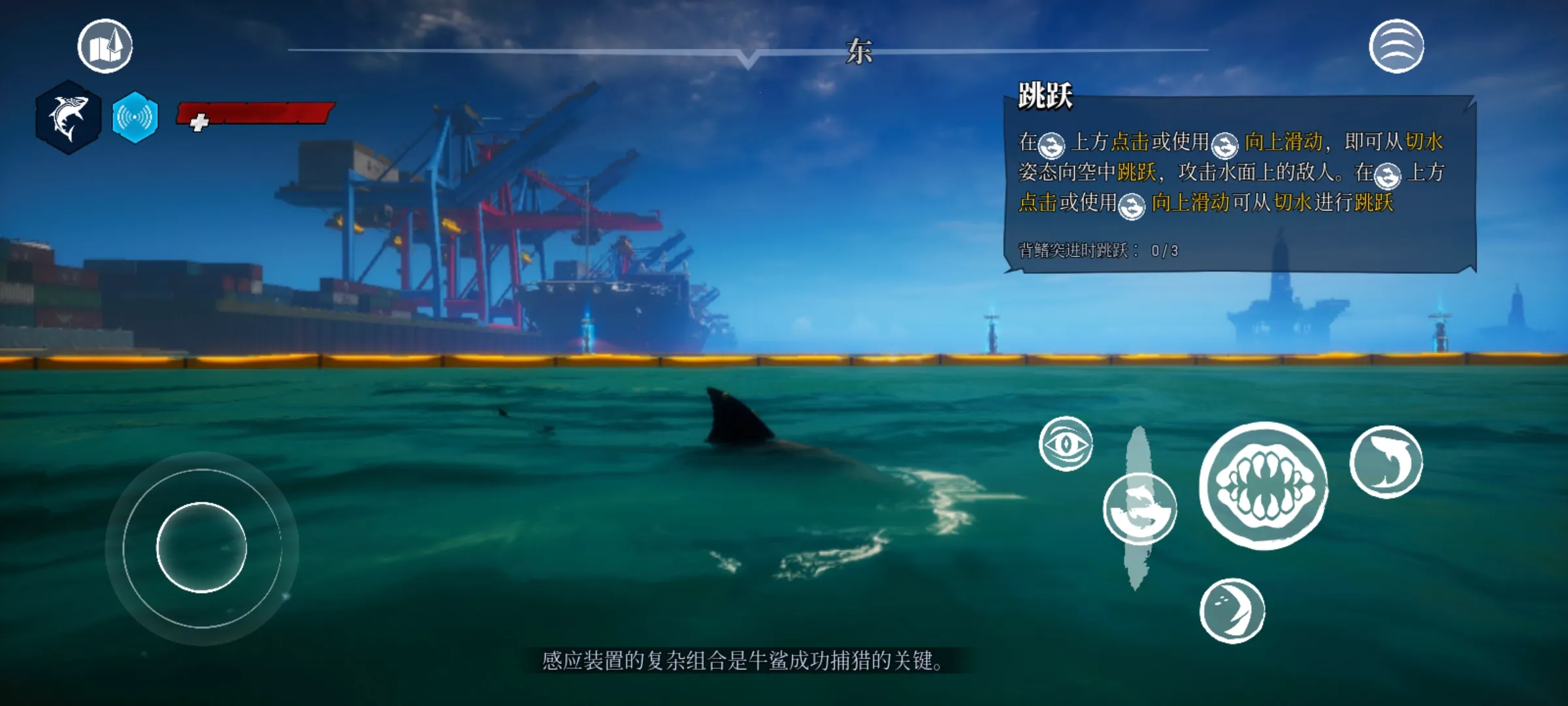 ʳ�������������������