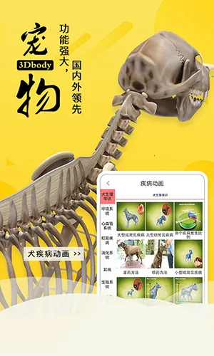 3dbody�����ƽ��