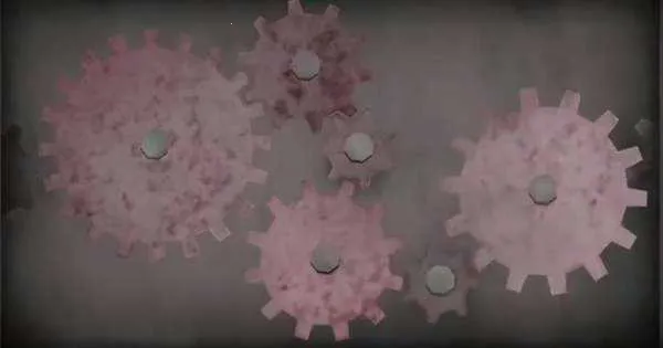 ������԰22026�ٷ����°汾