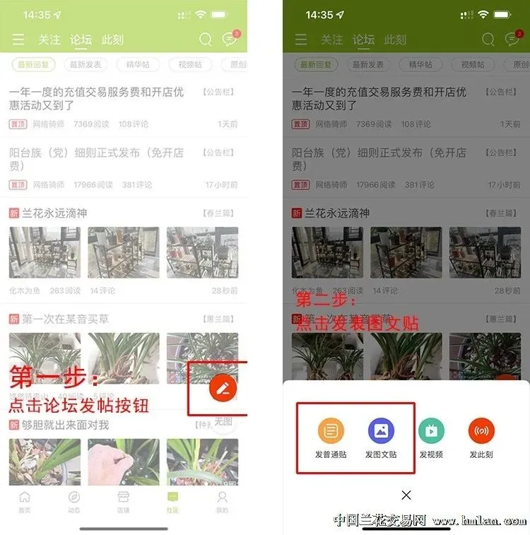 兰花交易网2026下载安装 兰花交易网2026下载安装