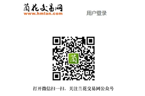 兰花交易网2026下载安装 兰花交易网2026下载安装