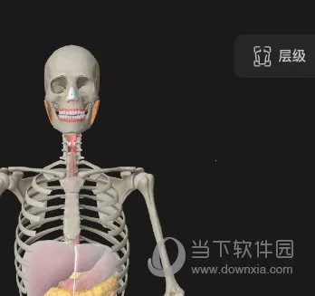 ά����3D����(����ѧϰƽ̨)
