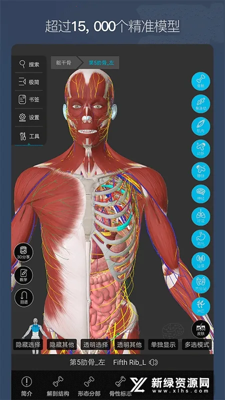 ά����3D����(����ѧϰƽ̨)