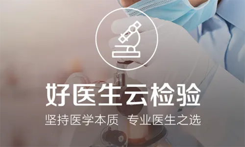 �ﱦ��2026���°汾