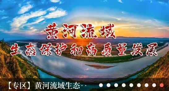 �����鱦(�鱦���ŷ�������)