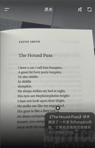 ���AI��������