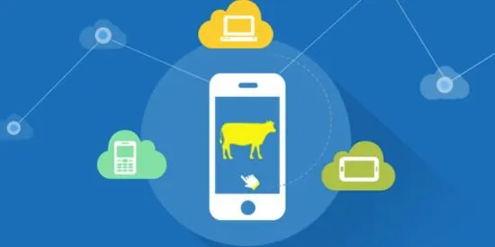 新牛智能(牧场管理app) 新牛智能(牧场管理app)