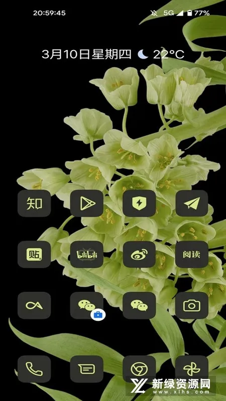cayicons2026���°汾