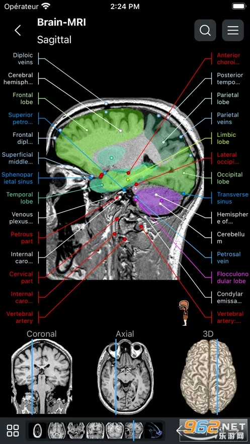 e-Anatomy(ҽѧ��������)