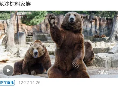��������2026���°汾