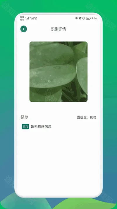 С԰��(ֲ��ʶ������)