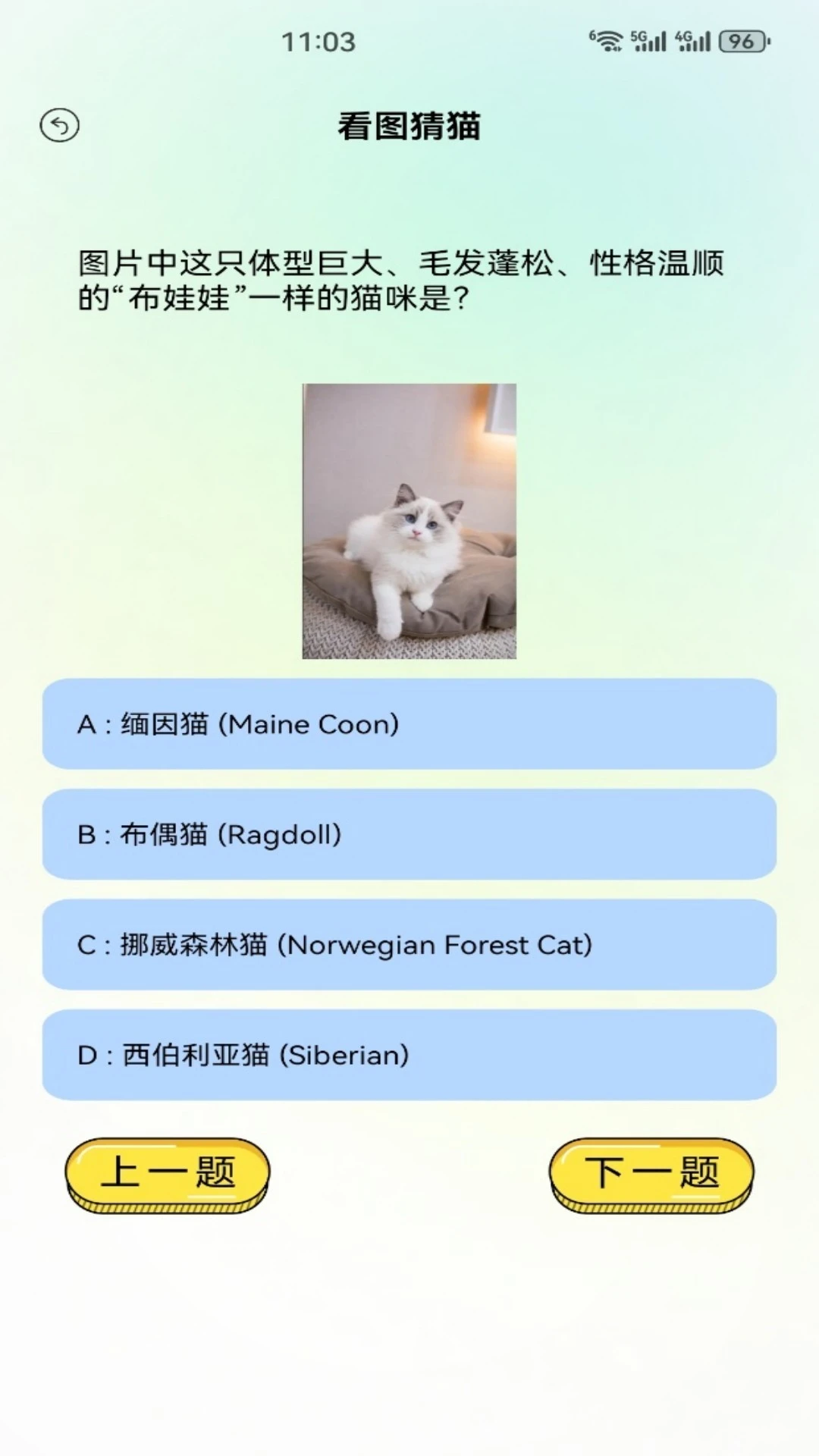 Сè����2026�ٷ����°汾