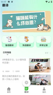PEPPYCAT猫语空间(养猫体验平台) PEPPYCAT猫语空间(养猫体验平台)
